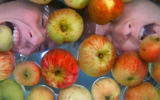 Two faces apple-bobbing